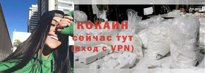 где можно купить   Тосно  Cocaine VHQ 